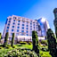 Olive Tree Amman