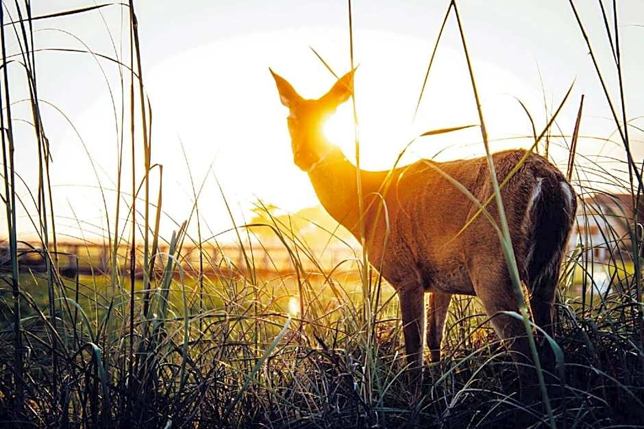 Sprawling Ocean View Home with Massive Deck, Golf Cart Included