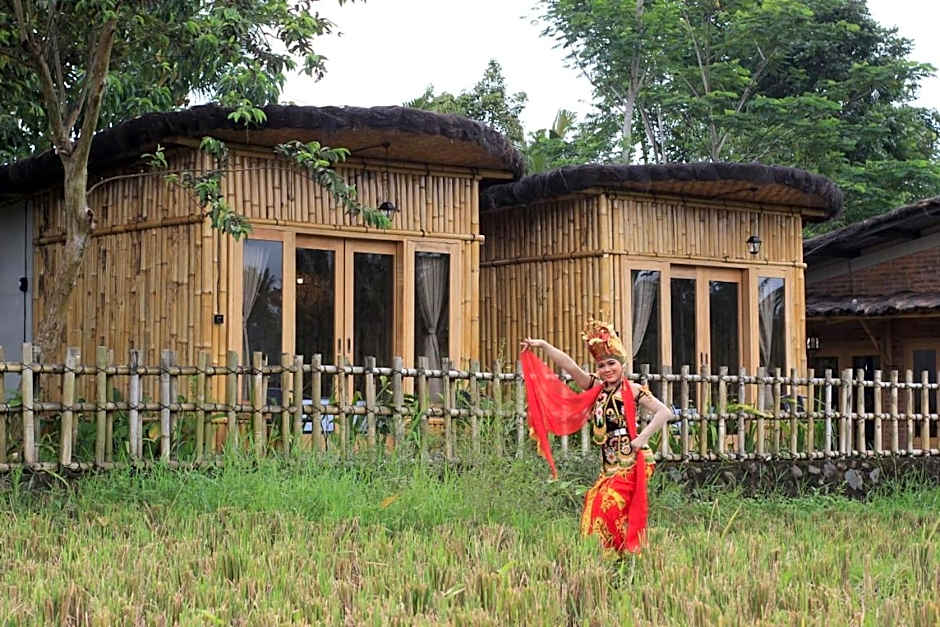 Sawah Ijen