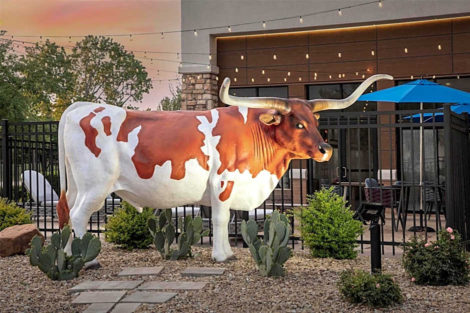 Hampton Inn & Suites Dallas-DFW ARPT W-SH 183 Hurst