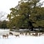 The Deer Park Inn