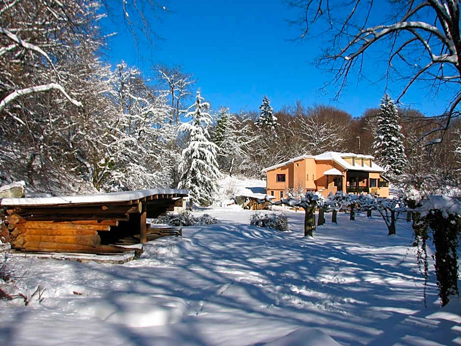 Pyrenées Emotions, Eco-responsables, Nature, Sports Aventures
