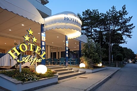 Hotel Aspe