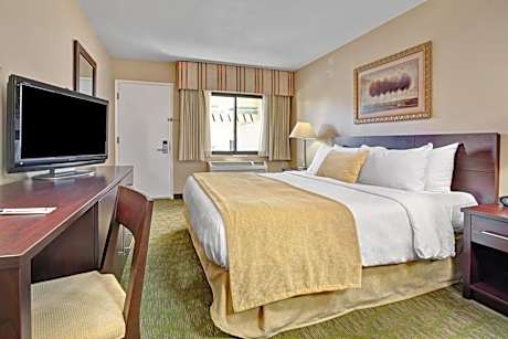 King Room - Non-Smoking