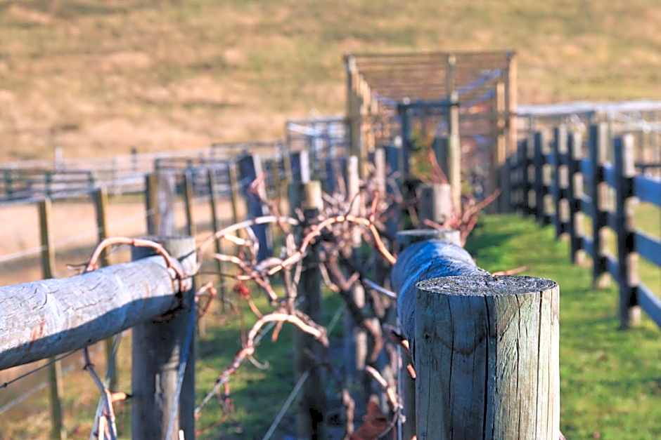 Down to Earth Farm Retreat