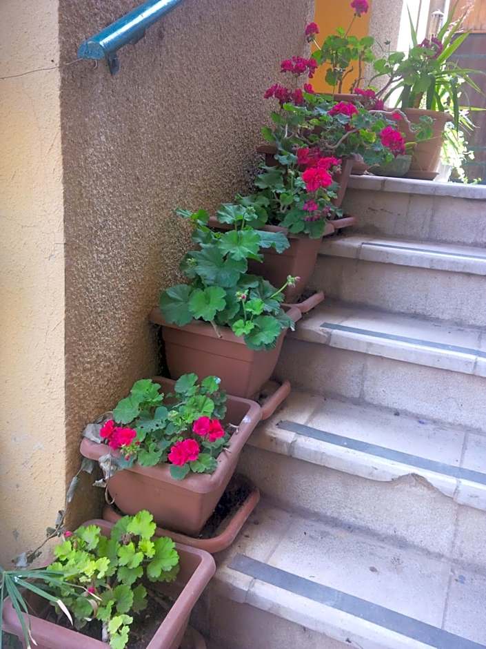 Mariam Hotel