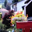 Hotel an der Sonne & Restaurant Zum Schneiger