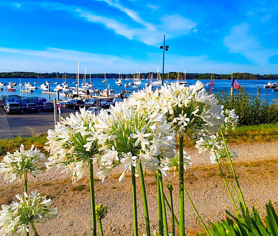 Hotel Alicia Auray Le Bono