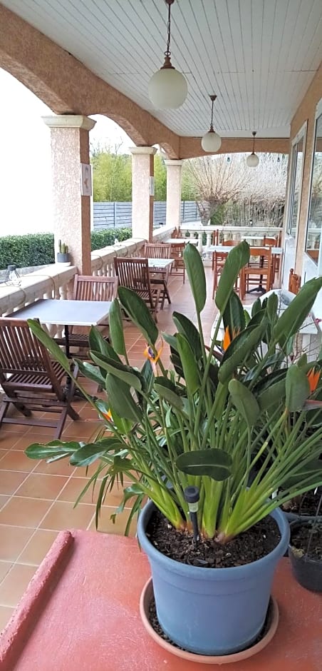 Le Grand Jardin