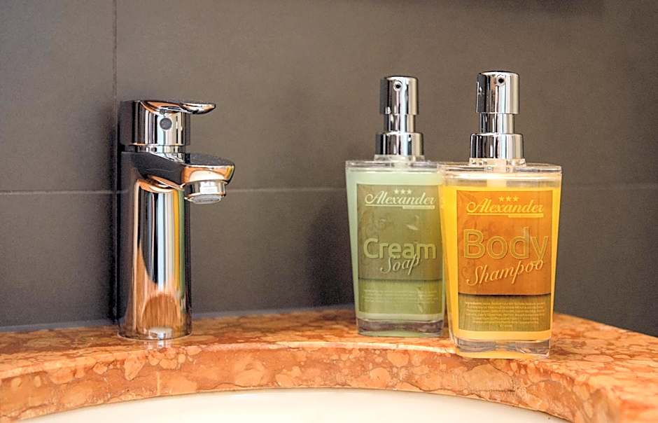 Alexander Guesthouse Zurich Old Town