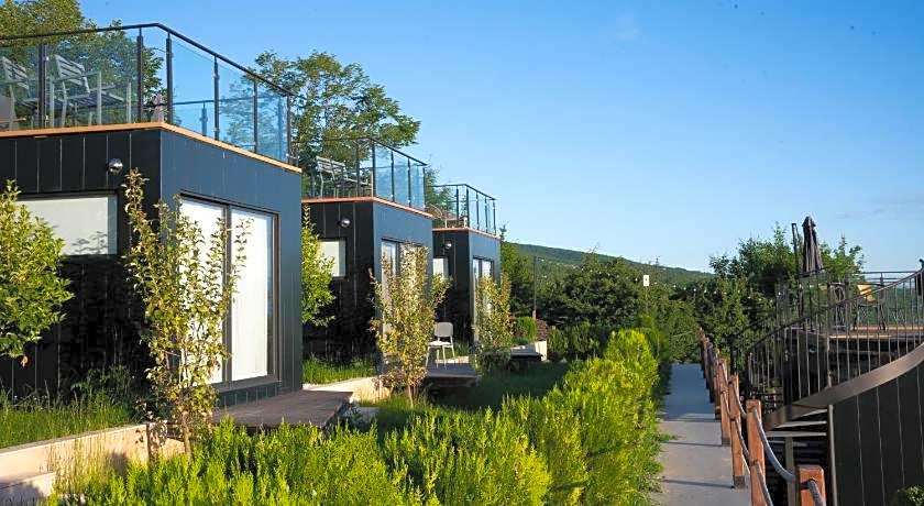 HORIZONS Bakurtsikhe