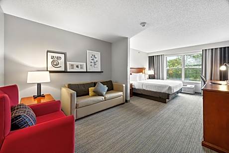 King Studio with Sofa Bed