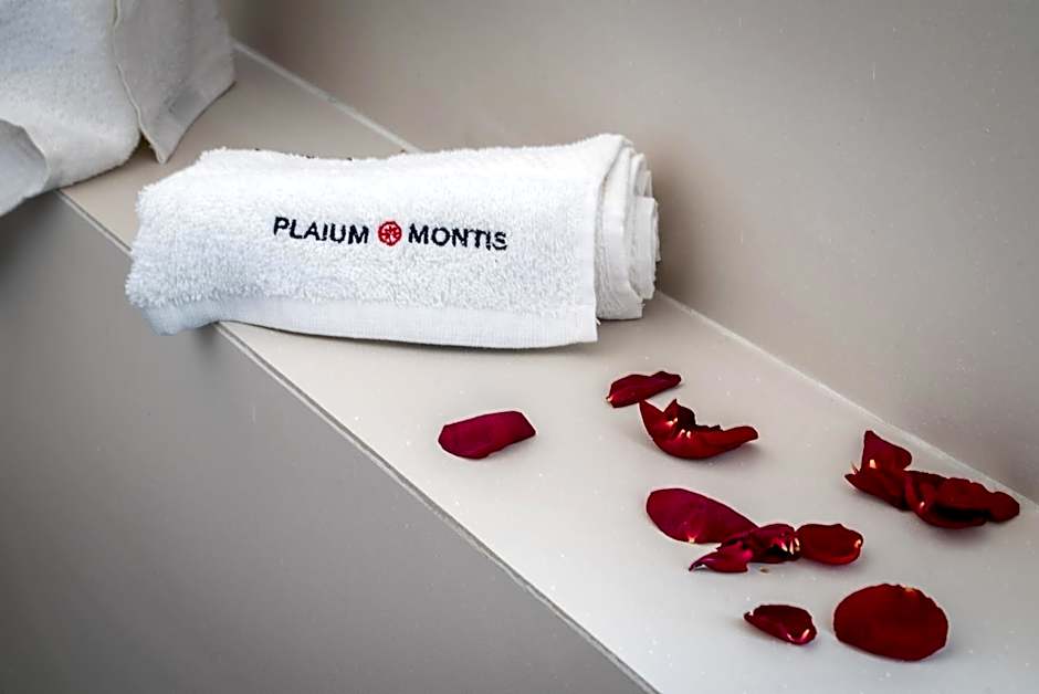 Plaium Montis
