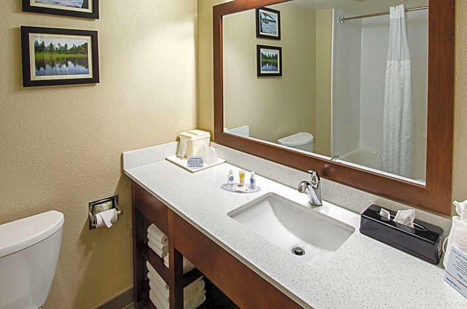 Comfort Inn & Suites Santee