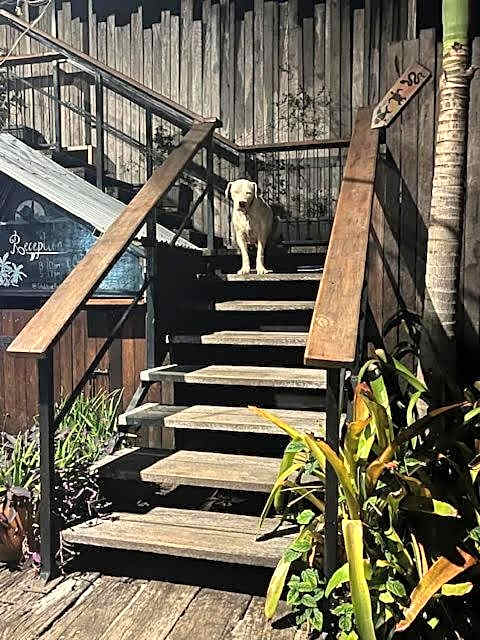 Gladstone Backpackers