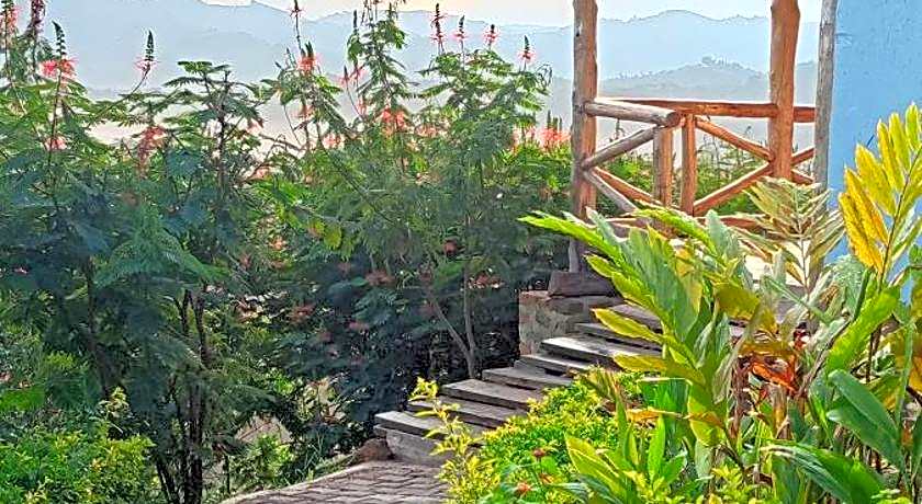 Photo 1 of 50 of Bwindi Neckview Lodge