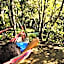Wairua Lodge - Rainforest River Retreat