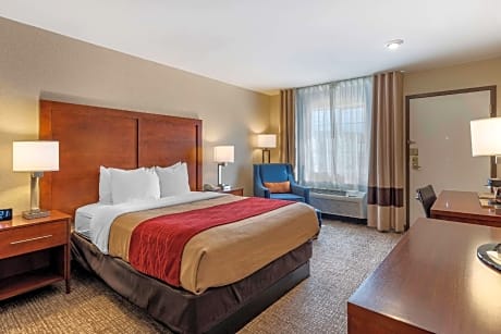 1 Queen Bed Nonsmoking Accessible