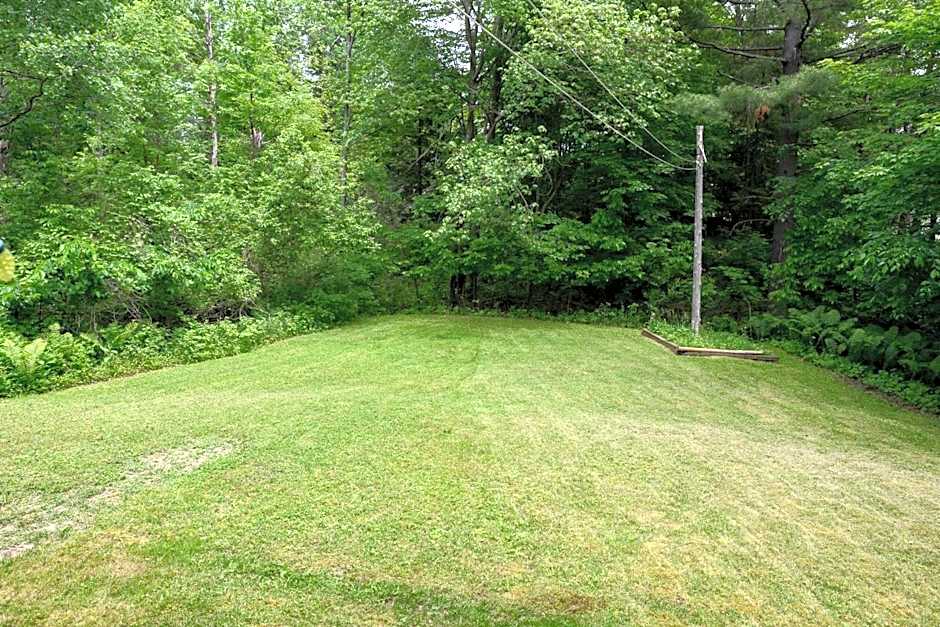 Cozy Cabin in the Forest w BBQ Firepit and More