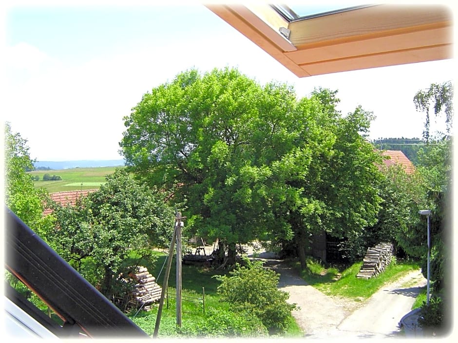Gasthof Hotel Traube