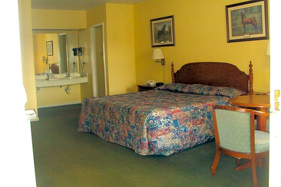 Photo 1 of 12 of 1 King Bed, Nonsmoking