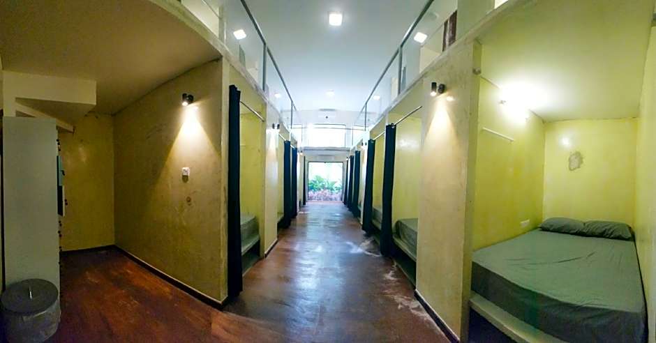 Beds In Garden Hostel