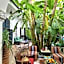 Riad Aloes & Spa