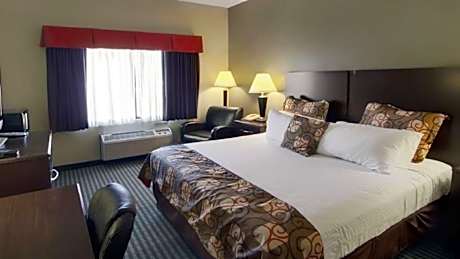 1 King Bed, No Smoking