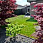 B&B Sogni d'oro