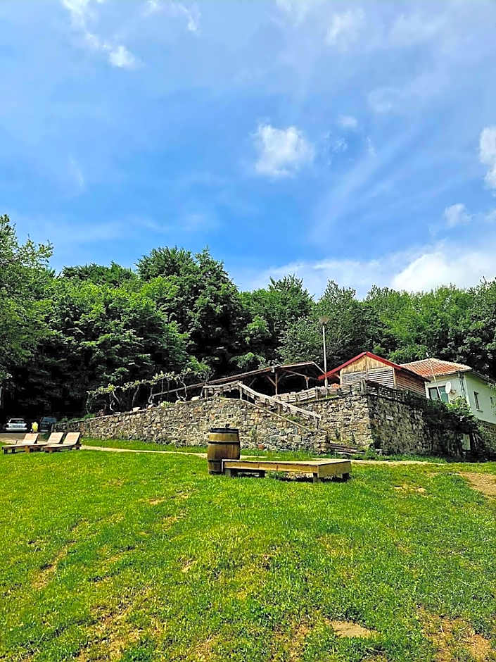 Bonsovi Poliani Hut (¿¿¿¿ ¿¿¿¿¿¿¿ ¿¿¿¿¿¿)