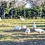 Masseria Borgo Segine - Relais nel Salento