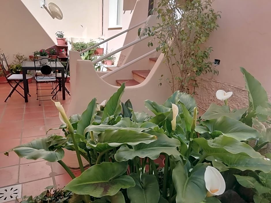 B&B Sa Madalena a Dorgali-IUN E4918