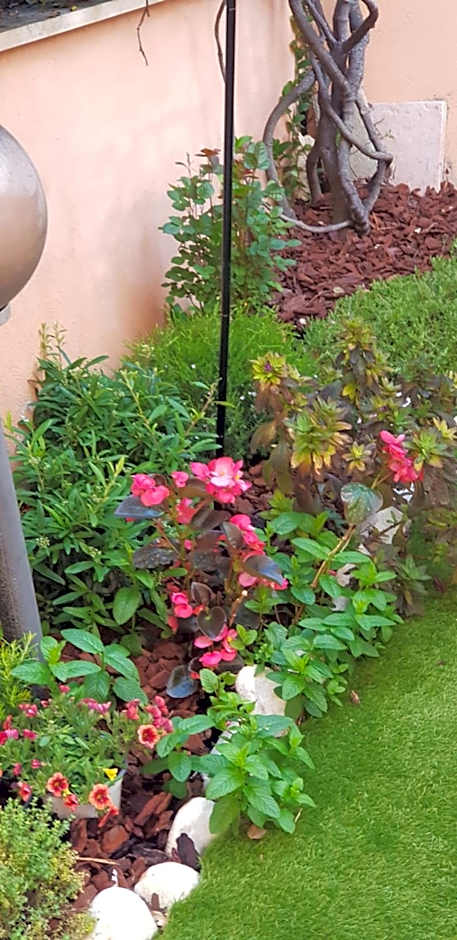 B&B Vista su Roma