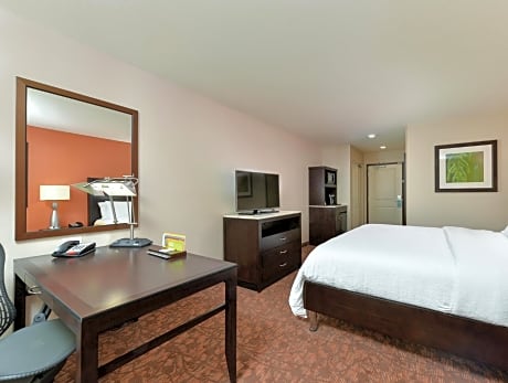 1 King Junior Suite Hearing Accessible
