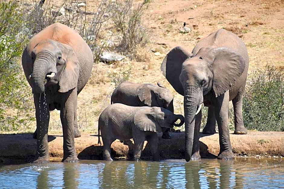 MILIMA Big 5 Safari Lodge