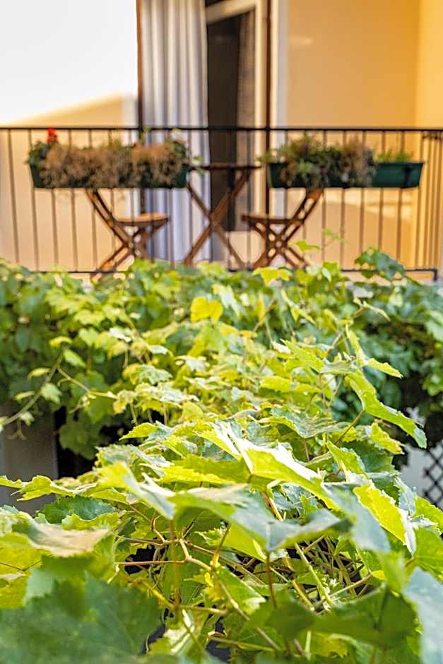 Grüner Baum Wachau - Retro Frühstückspension