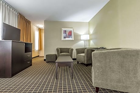 1 King Bed, Suite, Nonsmoking