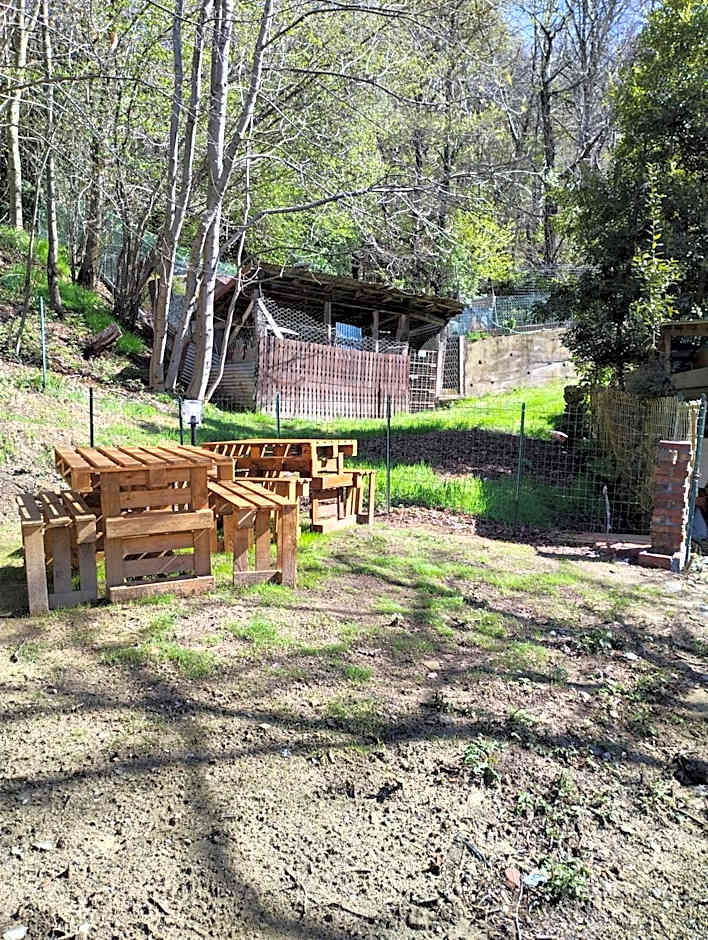 B&B LA MARMOTTA