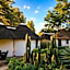Addo African Home