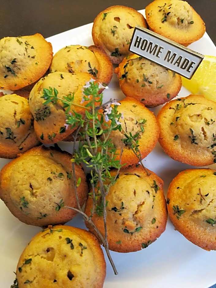 The Potting Shed Guest House