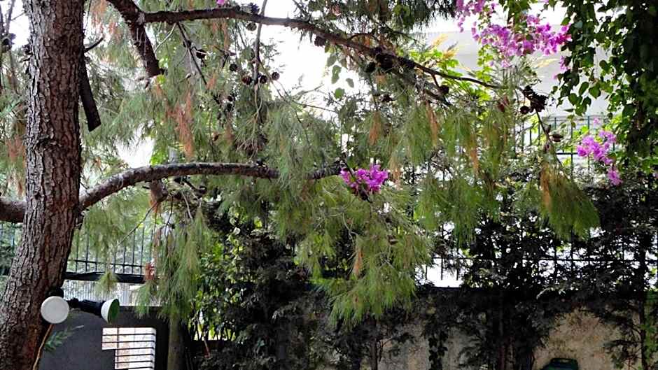 Vacations in Patra Studios