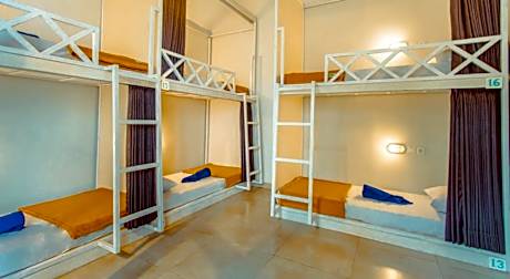 Bed in 6-Bed Mixed Dormitory Room