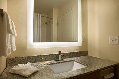 One-Bedroom King Suite - Non-Smoking