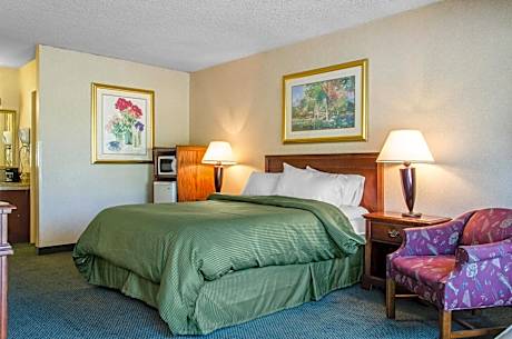 Standard Room, 1 Queen Bed, Accessible Roll-In Shower, Smoking