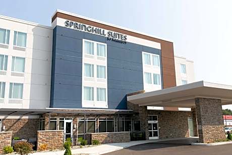 SpringHill Suites by Marriott South Bend Notre Dame Area