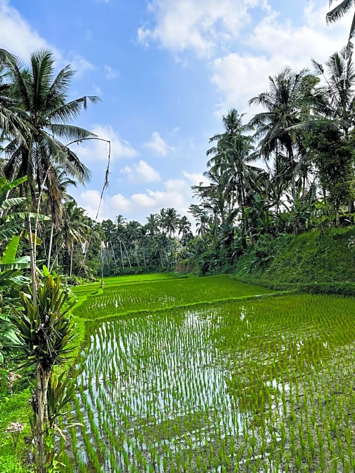 Villa Suci by Di Ubud