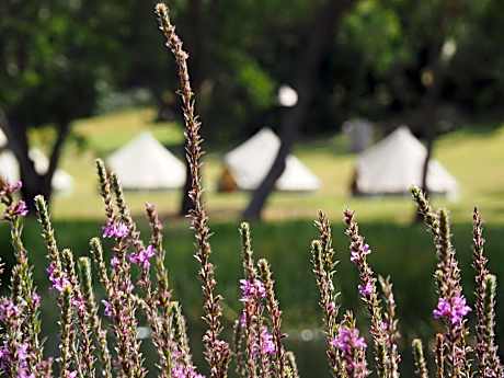 Iluka Retreat Glamping Village