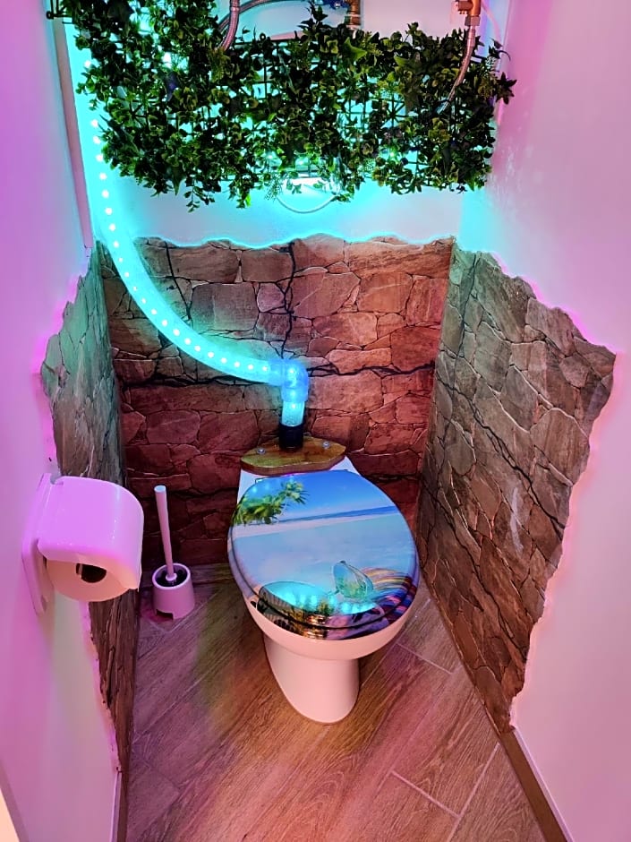 Wonder Room Paraiso Magico Habitacion