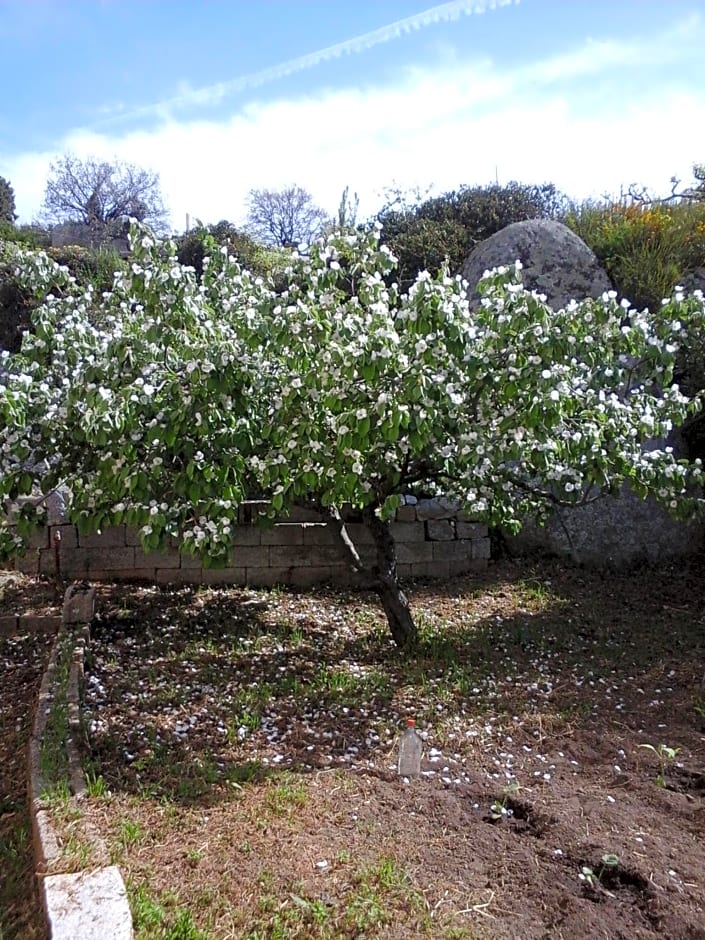 La Collina dei Ciliegi