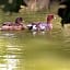 La mare aux canards